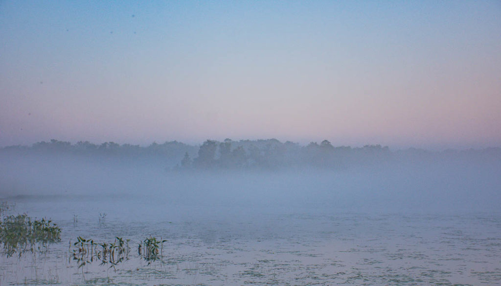A foggy dawn on Bass Lake