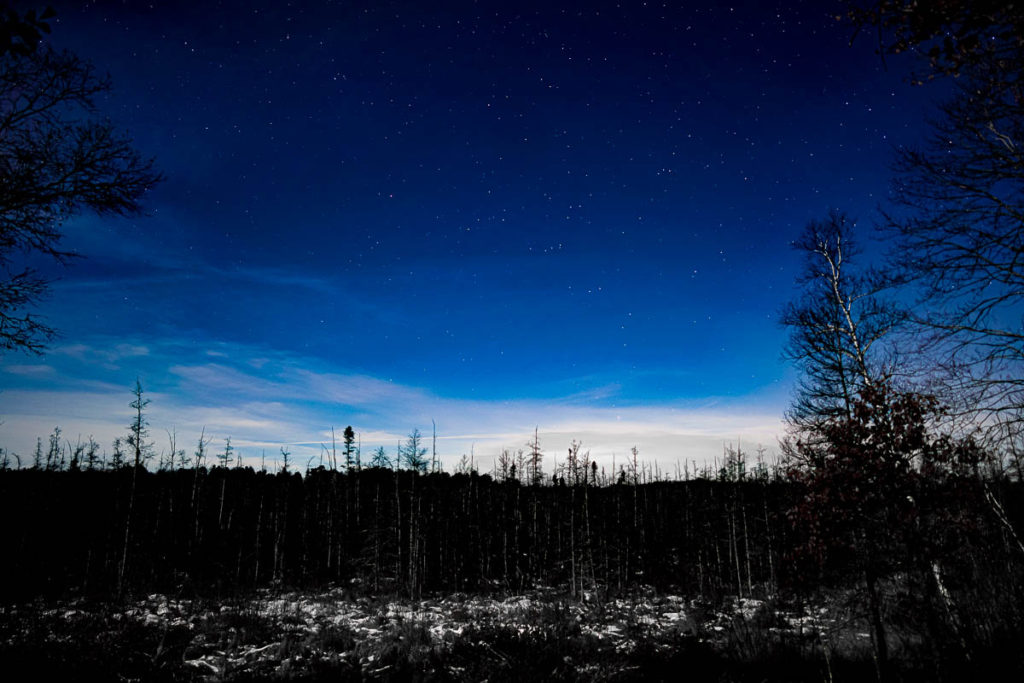 Night sky over the Tamarack bog.