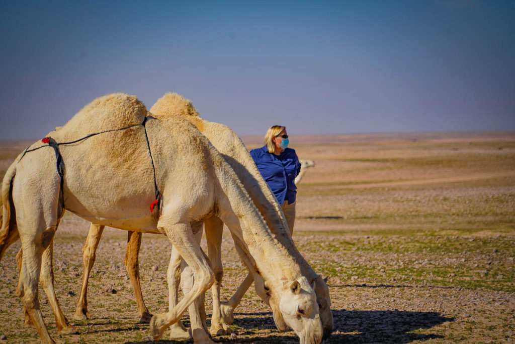 Crystal visiting the herd of camels