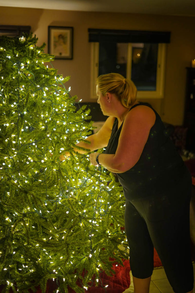 Getting lights on the tree