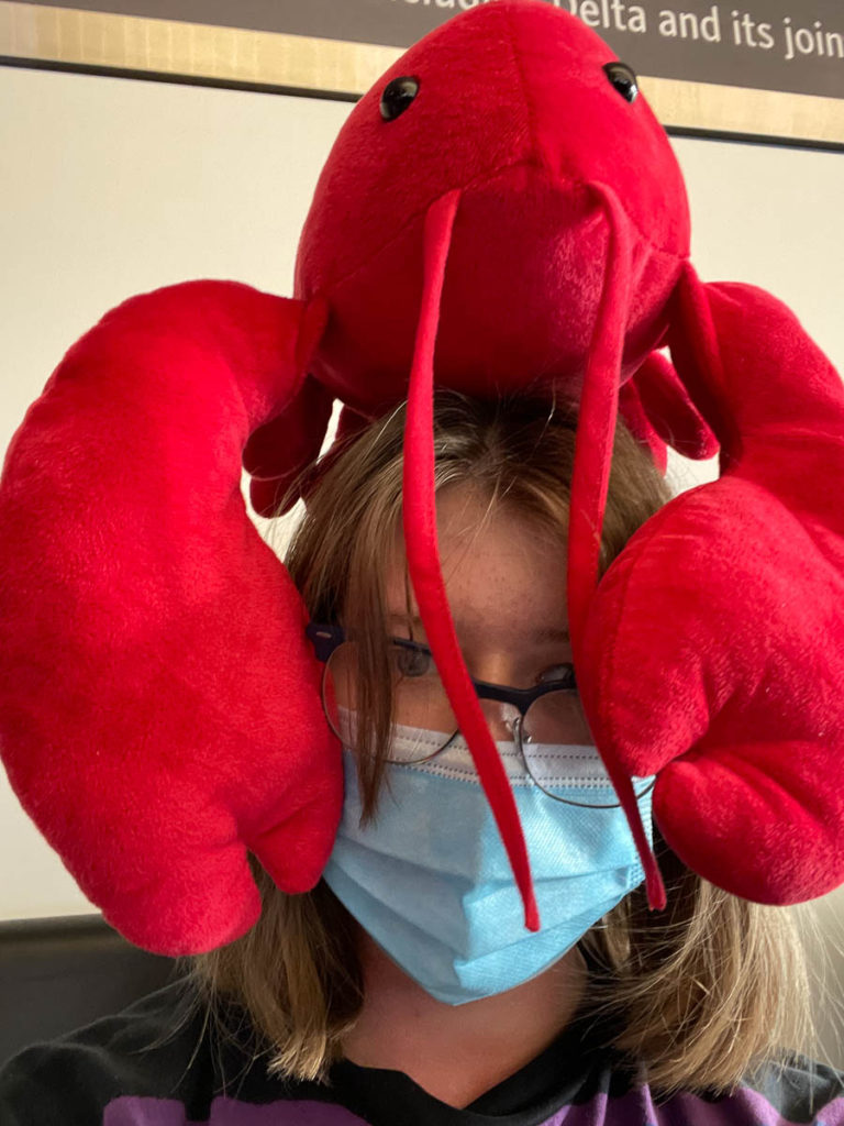 Noah bought a stuffed lobster during thier travel adventure when they were stuck in Boston airport for almost 24 hours.  He became thier mascot from the trip.
