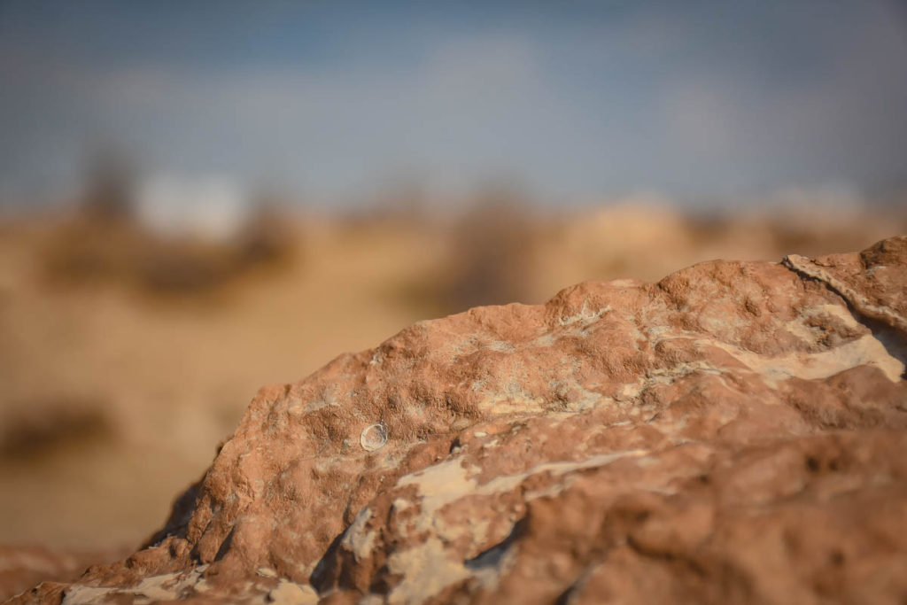 A macro shot of some wet rocks on the top of the jebel
