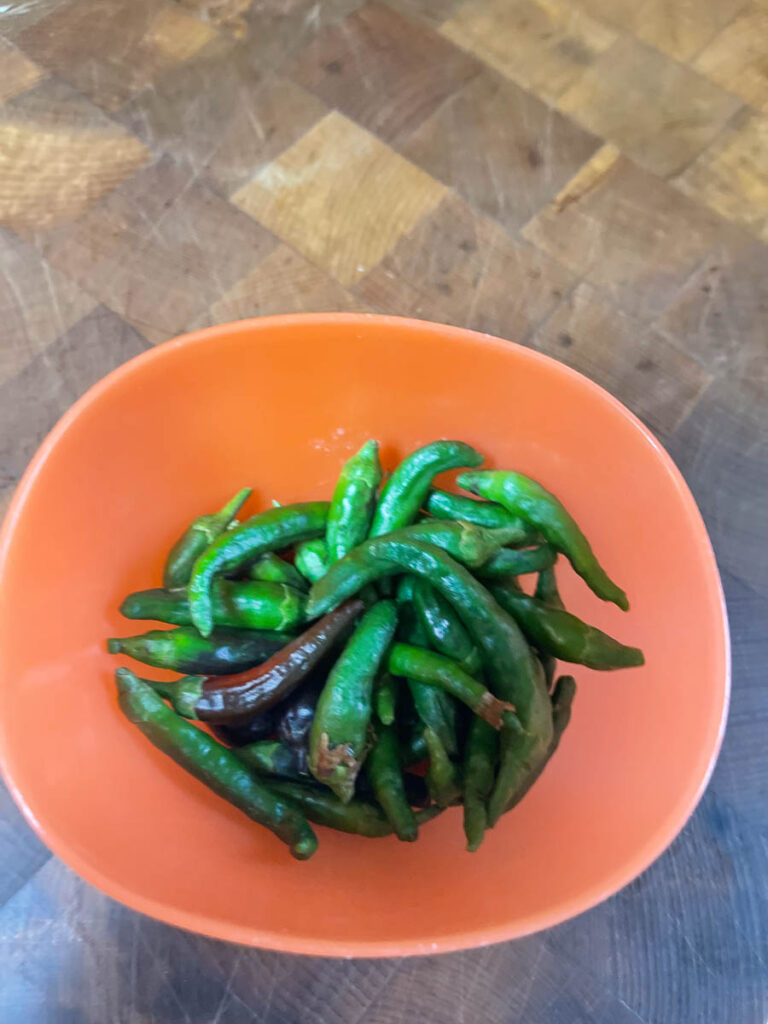 A first pepper harvest from the backyard pepper plants
