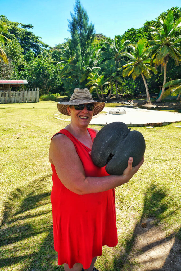 Crystal with a Coco De Mer seed.  The world's largest nut.