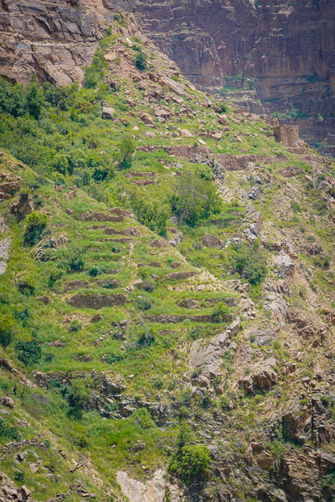 Old terraced fields at Habala